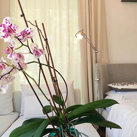 7 Bdr With Heated Pool &