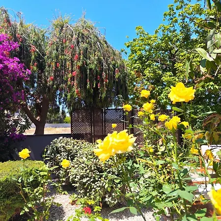7 Bdr With Heated Pool &